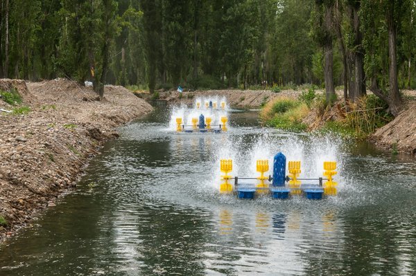 How Can Sustainable Aquaculture Practices Bolster Fish Stocks in the UK?